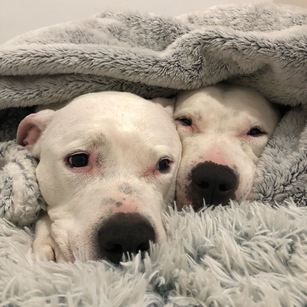 Meet your Posher, Erika